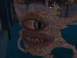 eq2_000223.jpg