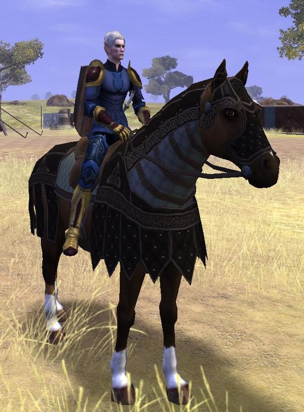 Stiff Black Barding